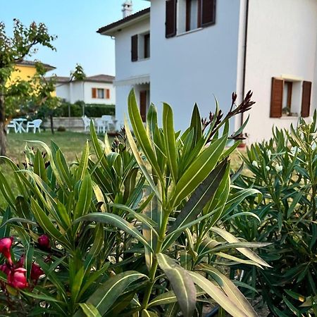 Private Apartment With Garden Cannigione Dış mekan fotoğraf